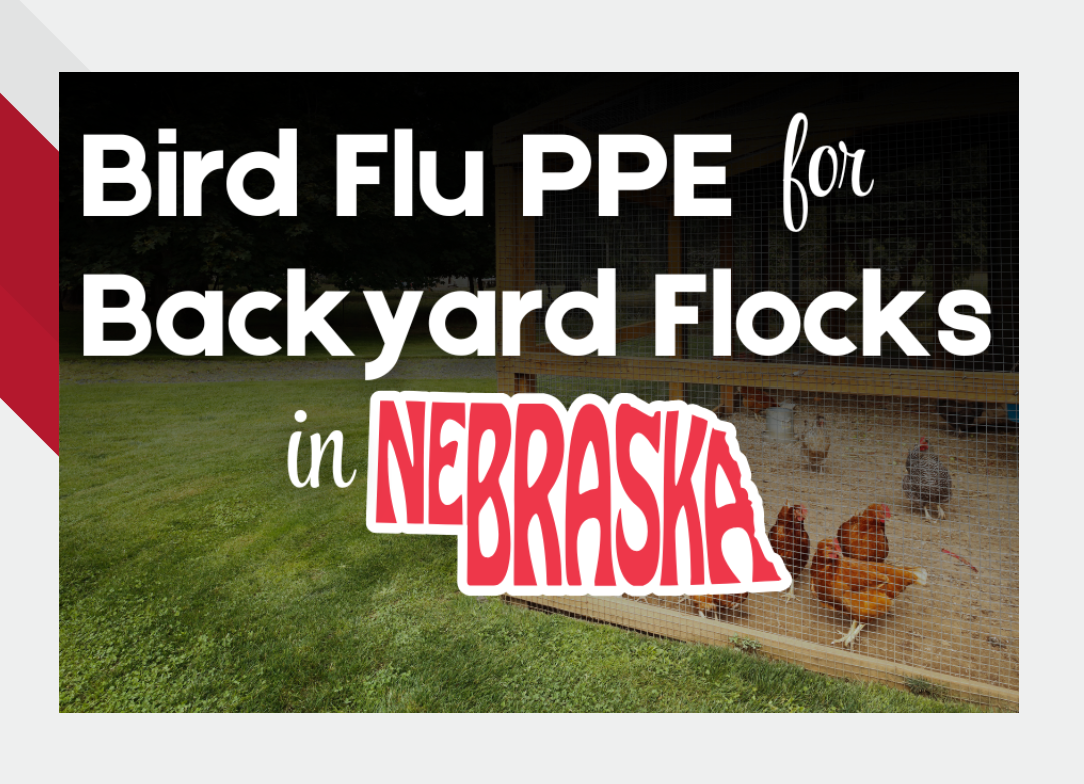 Messaging for Bird Flu PPE for Backyard Flocks in Nebraska