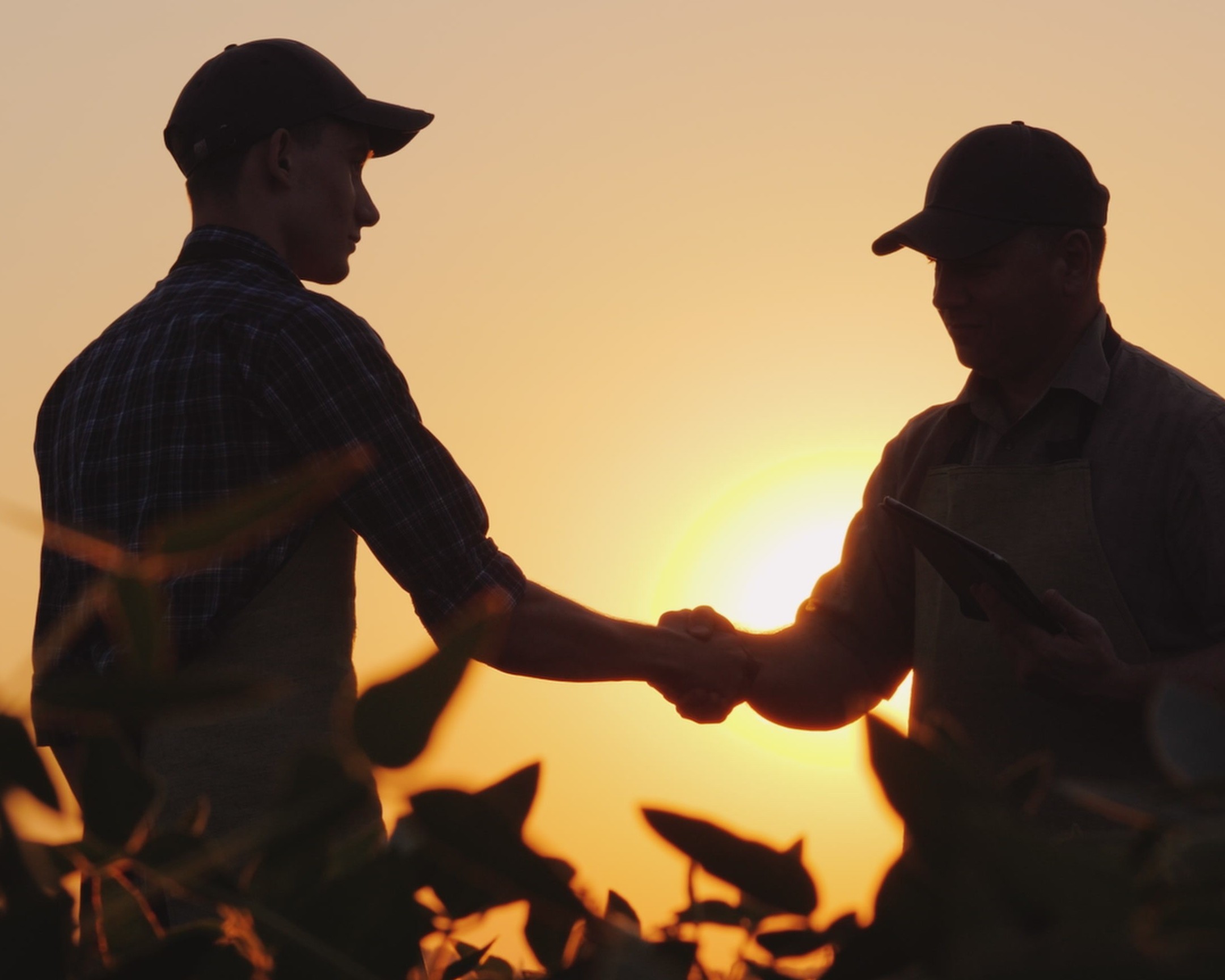 Two farmers shaking hands in farm field